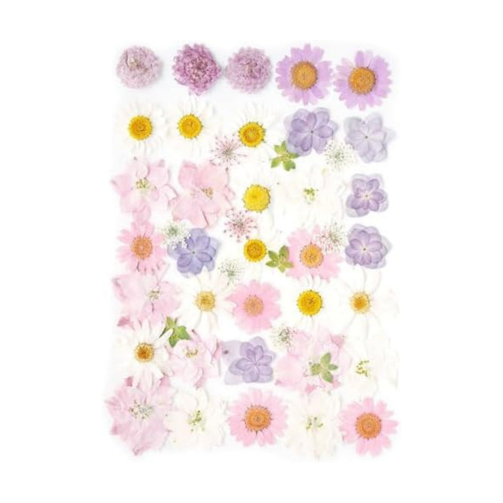 Real Dried Pressed Flowers Leaf Plant Herbarium for Crafts Resin Jewelry Making, Floral Cake Decorations-Light Pink