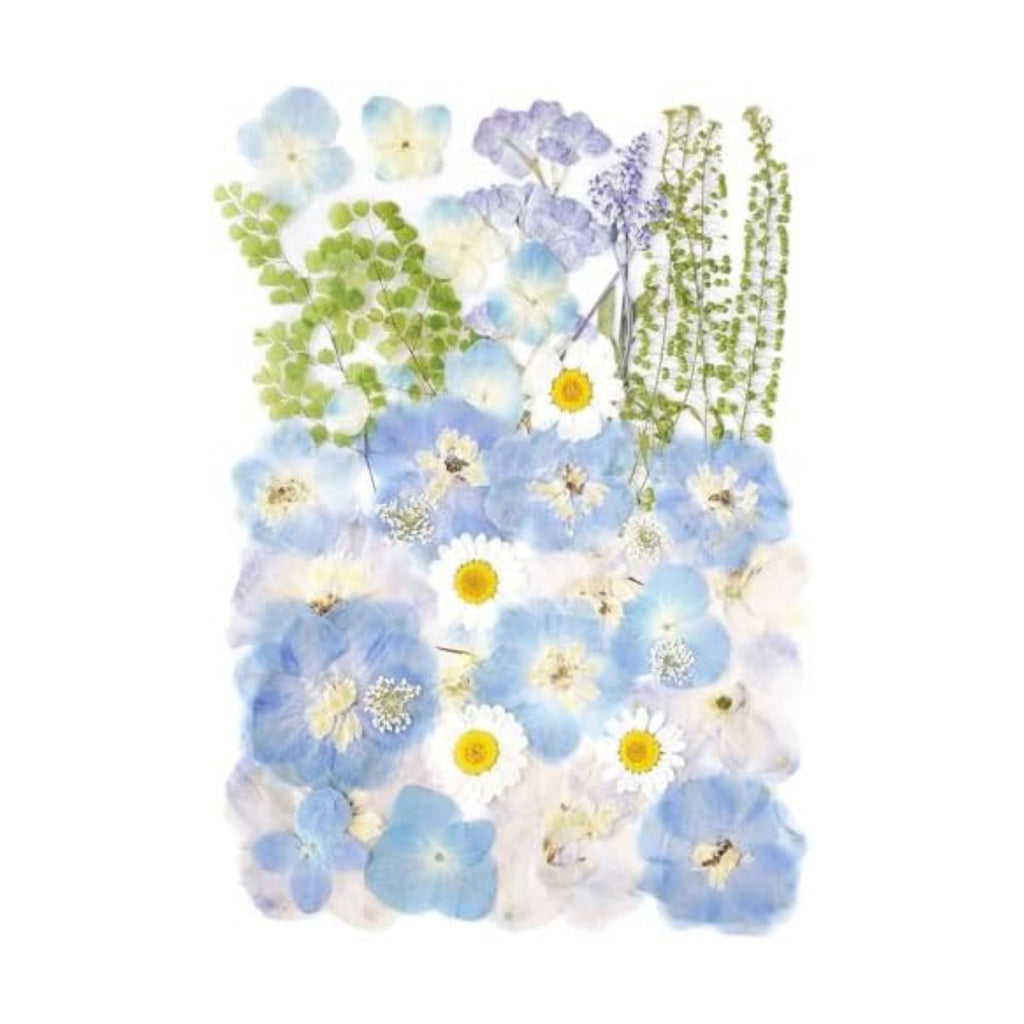 Real Dried Pressed Flowers Leaf Plant Herbarium for Crafts Resin Jewelry Making, Floral Cake Decorations-Fog Blue