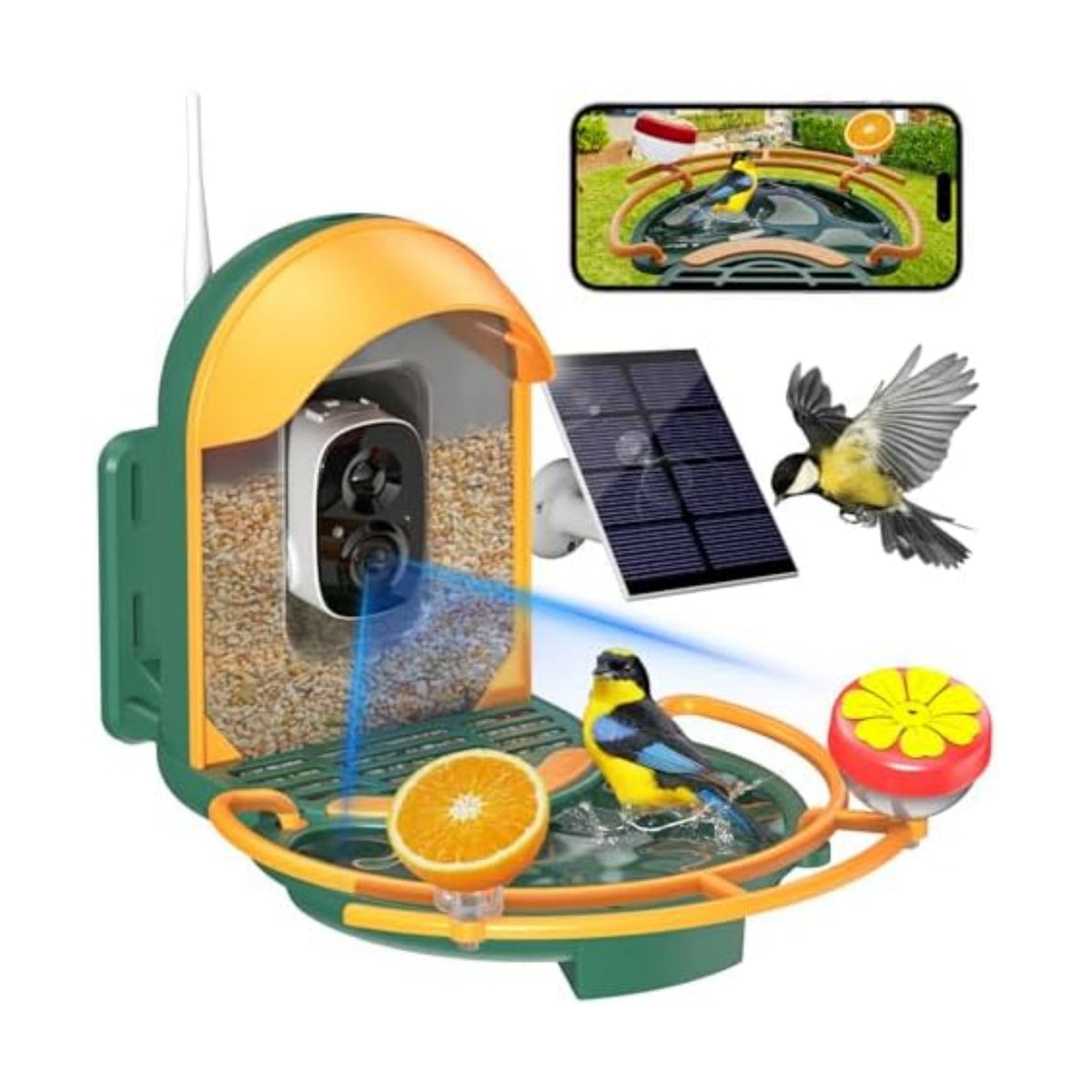 Bird Feeder with Camera, AI Recognition, Bird Bath, Solar Powered