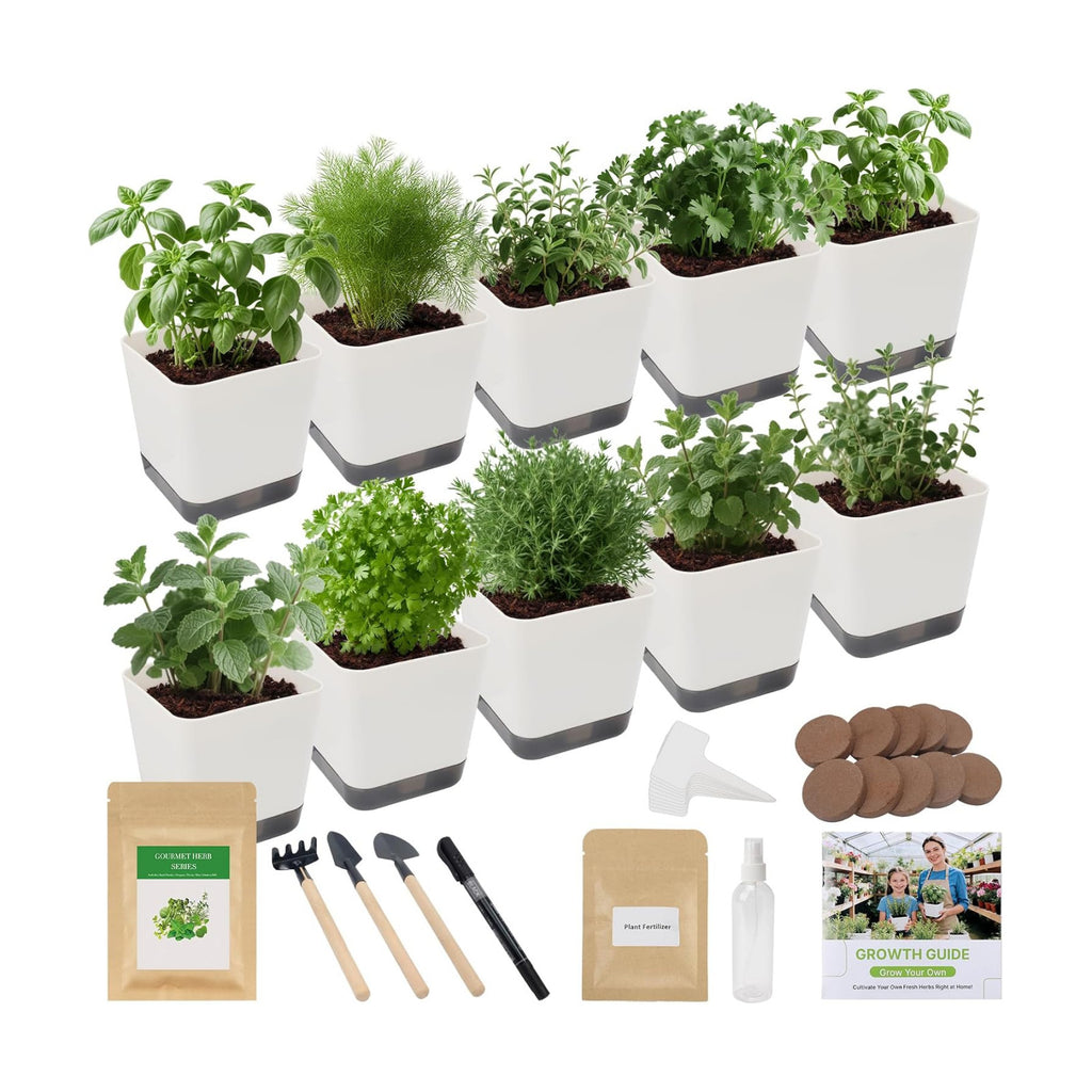 10-Set Indoor Herb Garden Starter Kit, 7 Seeds Growing into Basil, Parsley, Thyme, Mint, Cilantro, Dill, Oregano