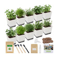 10-Set Indoor Herb Garden Starter Kit, 7 Seeds Growing into Basil, Parsley, Thyme, Mint, Cilantro, Dill, Oregano