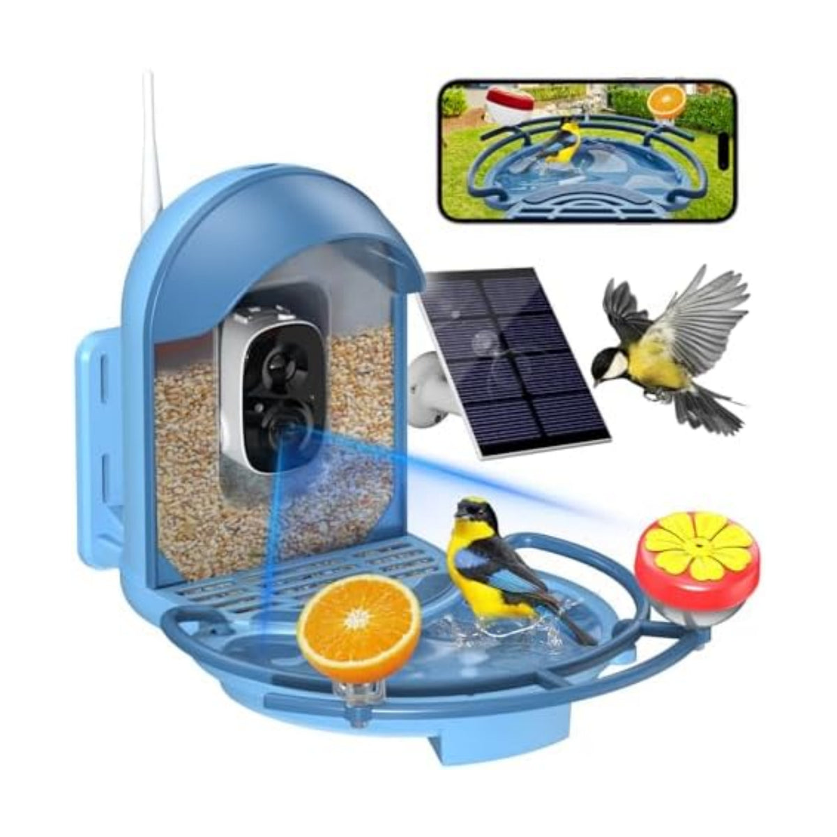 Bird Feeder with Camera, AI Recognition, Bird Bath, Solar Powered