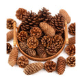 54 PCS Natural Pine Cones for Crafts Set Medium & Extra Large 1.2"-4"