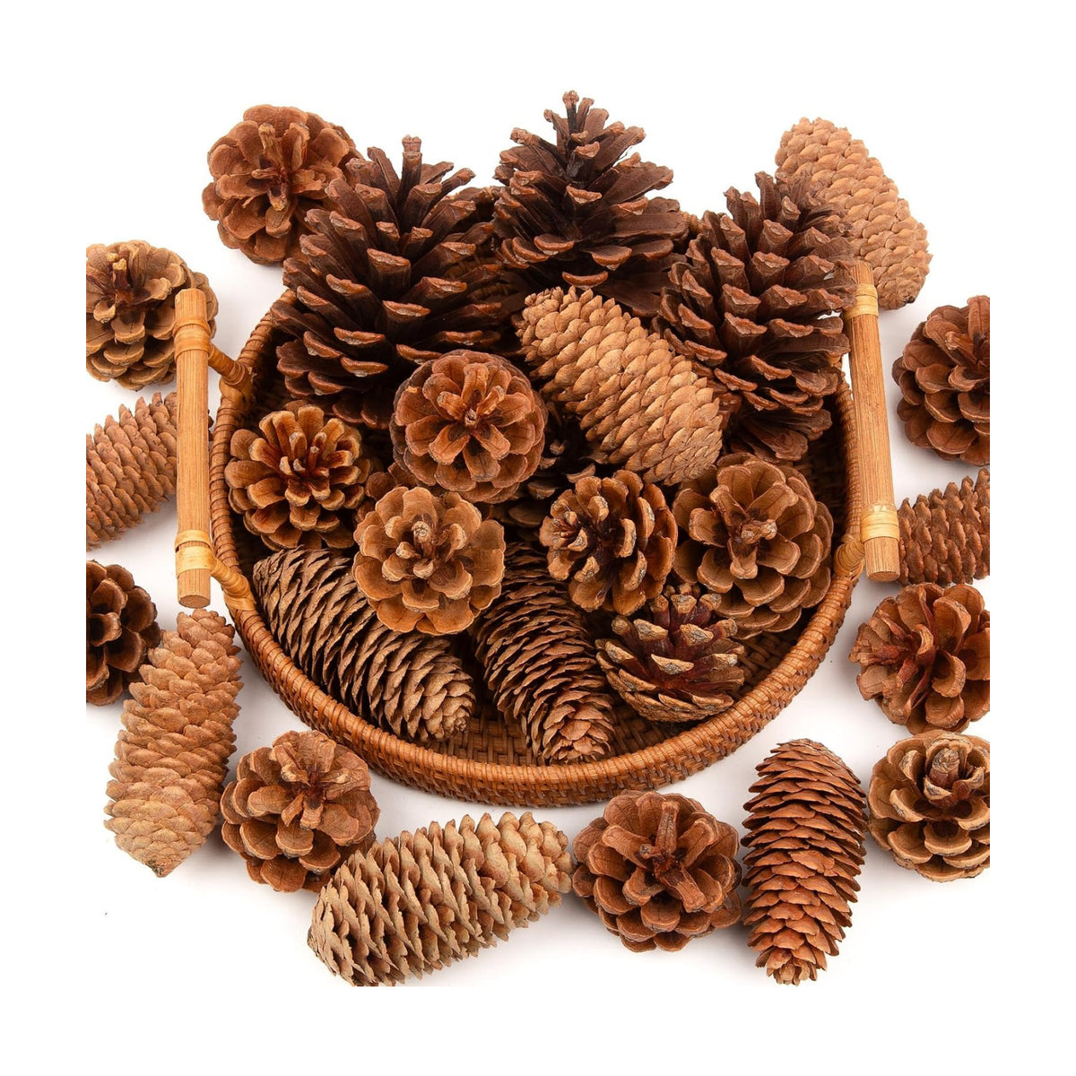 54 PCS Natural Pine Cones for Crafts Set Medium & Extra Large 1.2"-4"