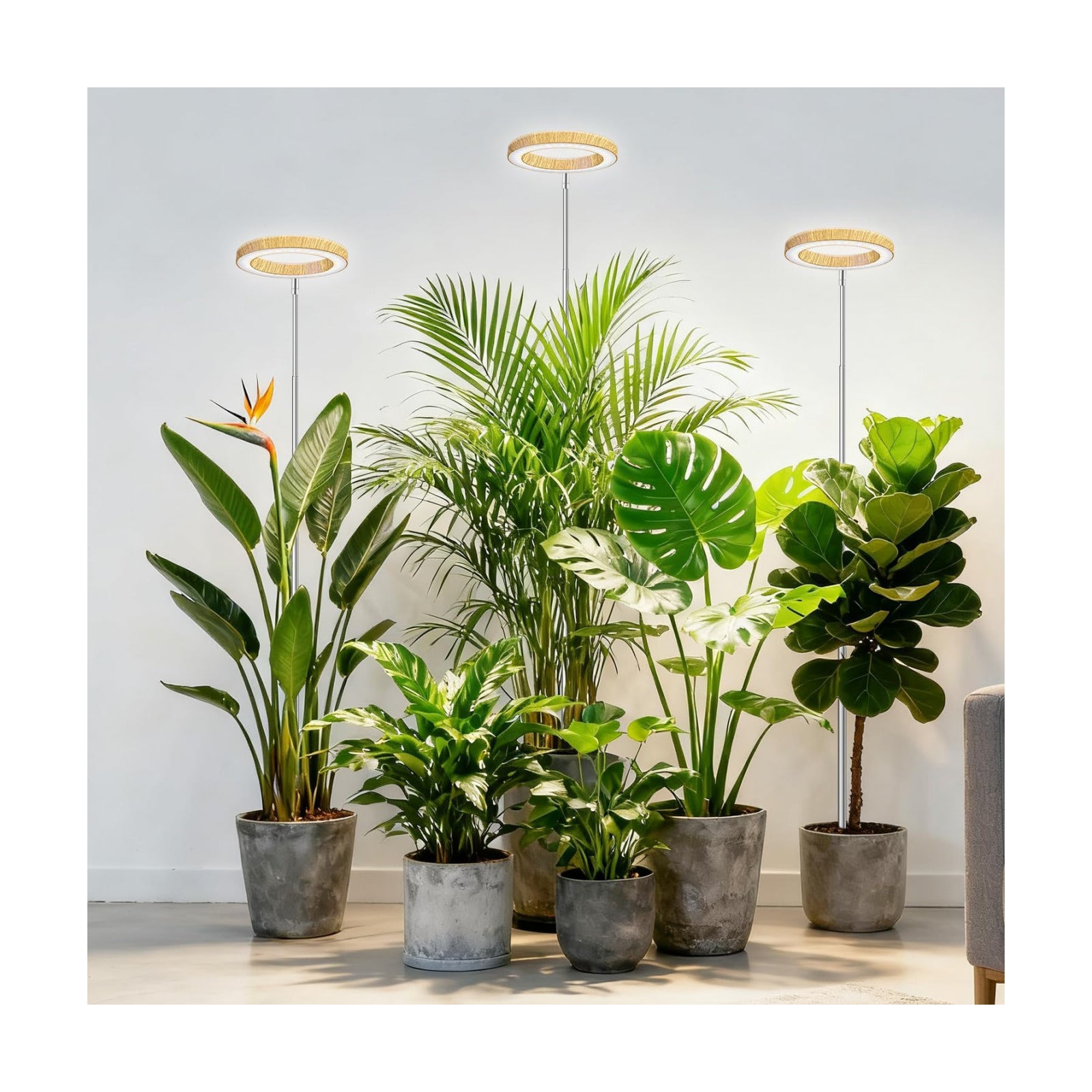 Kullsinss 6.3in Grow Lights for Indoor Plants, Full Spectrum Plant Light | Wood Grain Growing Lamp with 6/12/16H Timer