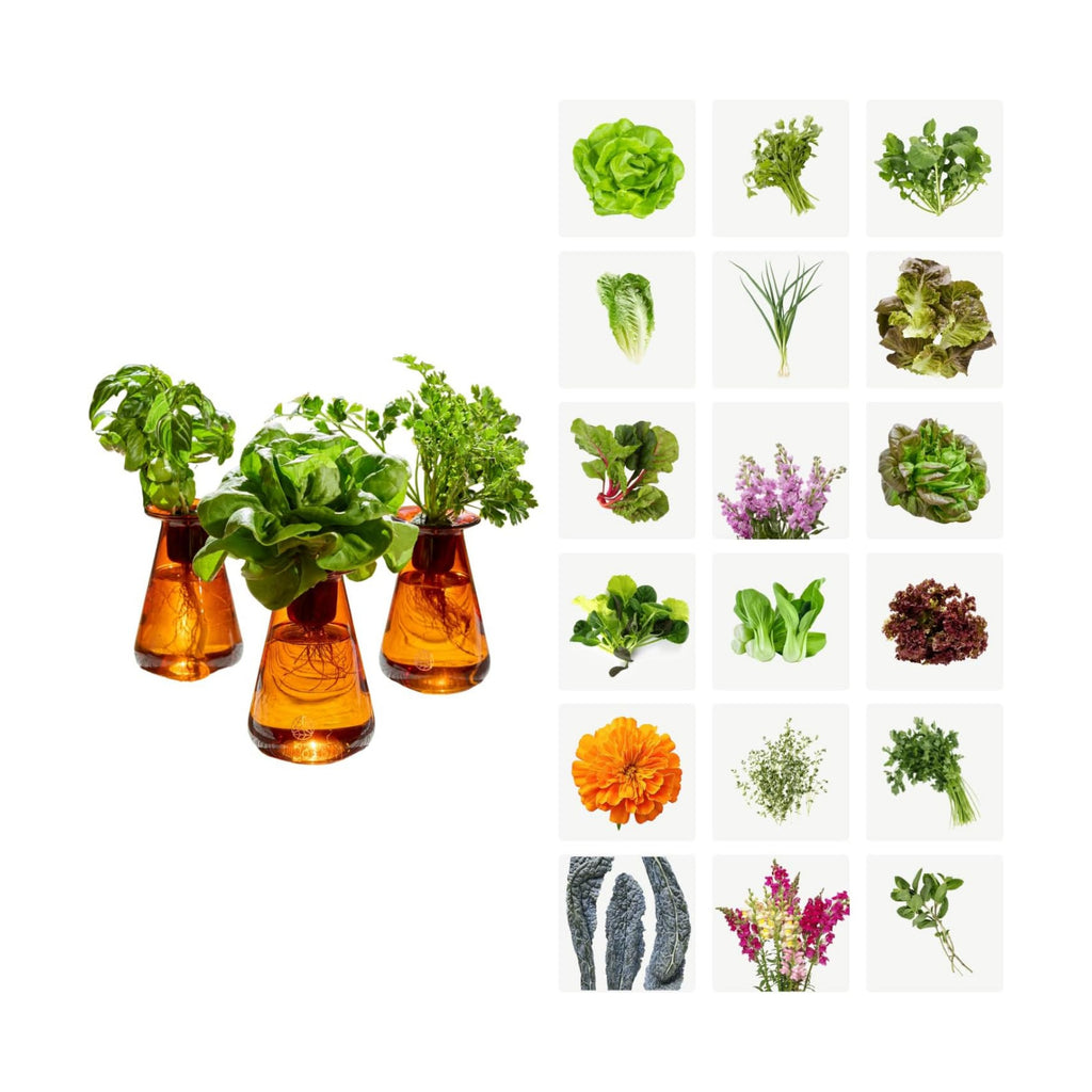 Counterstand Hydroponic Garden, Indoor Gardening System Hydroponics Growing System Kit, Herb Garden Planter Indoor Kit