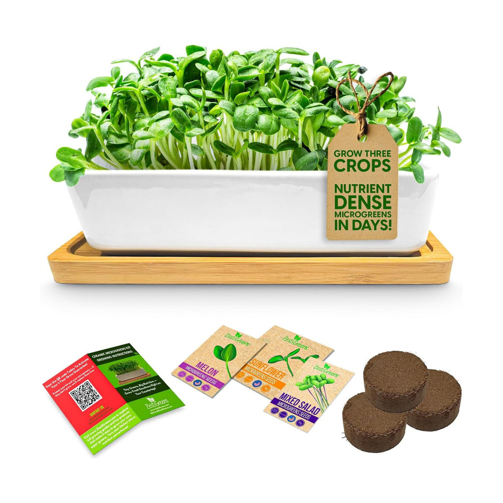 Ceramic Microgreens Growing Kit with Sunflower, Melon & Mixed Seeds | Ceramic indoor kit with sunflower, melon and