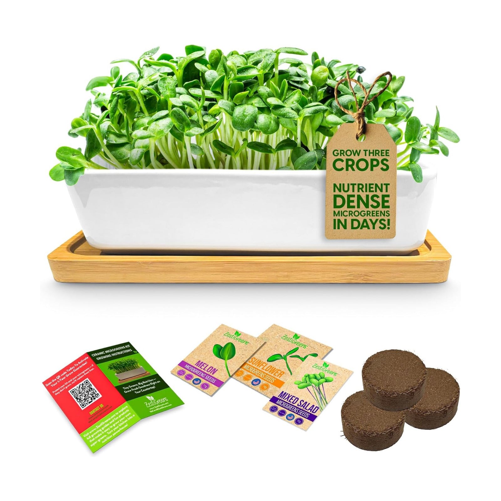 Ceramic Microgreens Growing Kit with Sunflower, Melon & Mixed Seeds | Ceramic indoor kit with sunflower, melon and