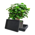 1PC Rectangular Plant Saucer Tray, 6-Inch, Resin, Heavy Duty Drip Tray