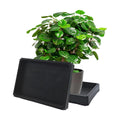 1PC Plant Saucer Tray 9 Inch, Rectangular Resin Drip Catcher