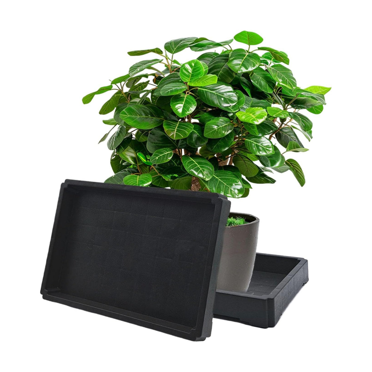 1PC Plant Saucer Tray 9 Inch, Rectangular Resin Drip Catcher