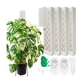 4 Psc 9 Inch D Shaped Moss Pole with Watering Dripper, Plastic Moss Poles for Climbing Plants, Sturdy Monstera Plant