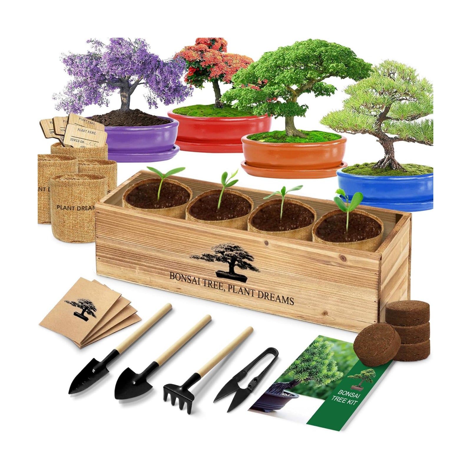 Bonsai Tree Kit, Bonsai Starter Kit with Seeds & Tools, Tree Live Plants Indoor, Gardening Gifts for Women Men Mom