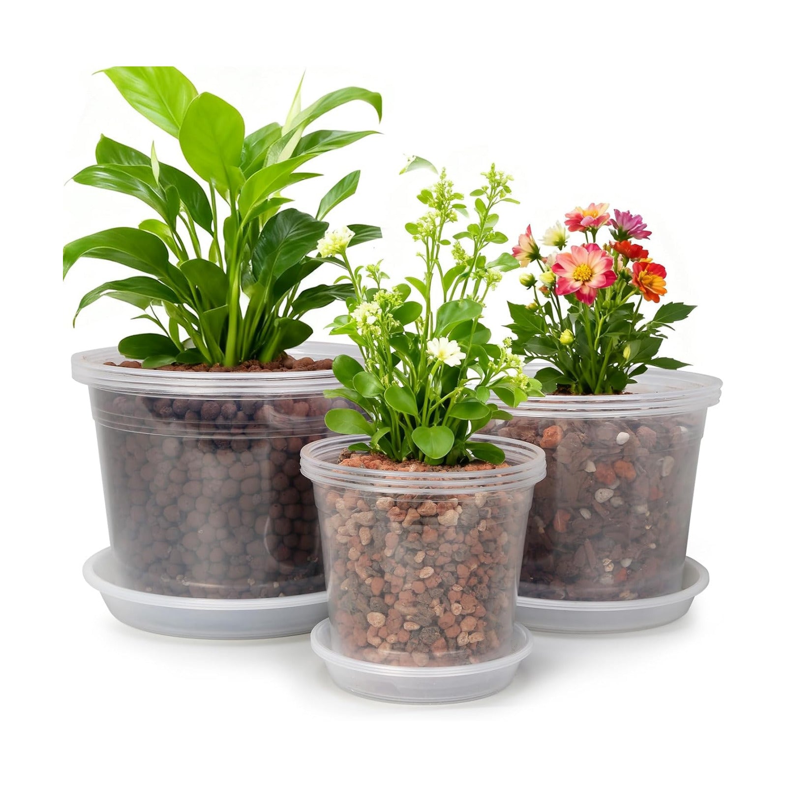 6/8/10 Inch Large Size Clear Nursery Pots with Drainage and Saucers, 9 Pack Plastic Plant Pots for Seedling Starter