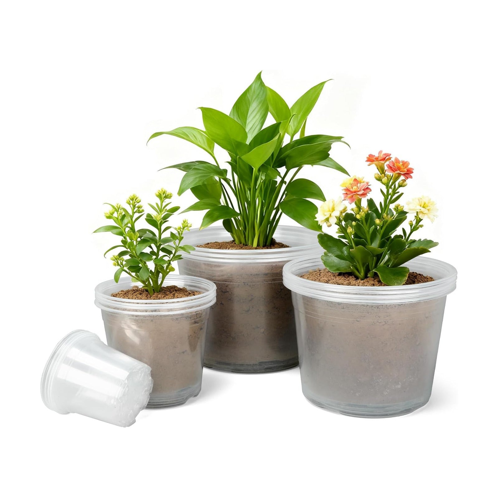 4/6/8/10 Inch Large Size Clear Nursery Pots for Plants, 16 Pack Plastic Plant Pots with Drainage Holes, Durable
