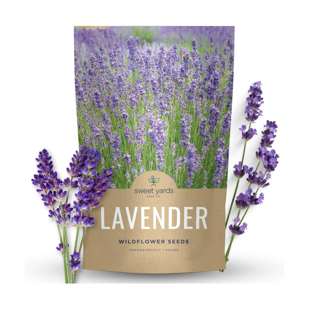Lavender - Bulk 1 Pound Bag - 400,000 Flower Seeds for Planting - Lavandula angustifolia