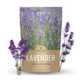 Lavender - Bulk 1 Pound Bag - 400,000 Flower Seeds for Planting - Lavandula angustifolia