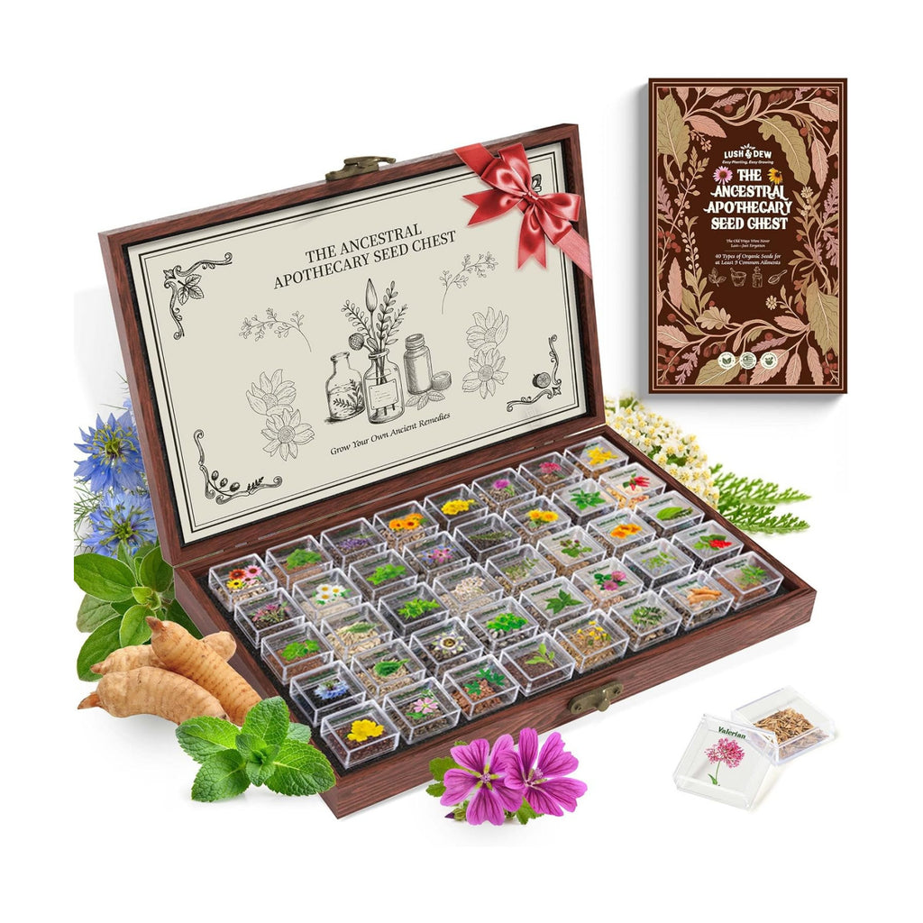 Lush&Dew Ancestral Apothecary Medicinal Tea Herb Seed Chest, Gardening Gift | 36,000+ Non-GMO Survival Seed Kit, Gifts