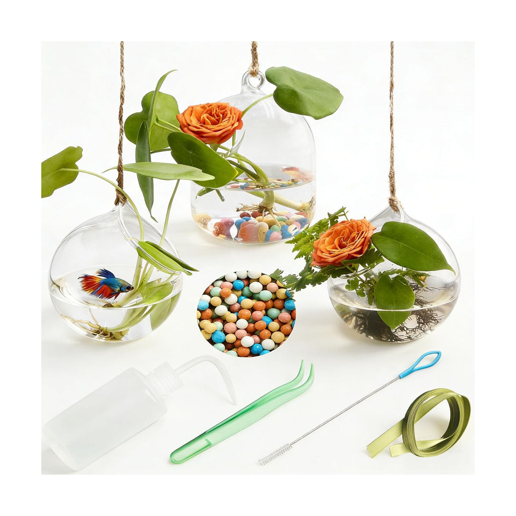 3 Pack Hanging Propagation Stations with Care Tool Kit (Squeeze Bottle & Tweezers Included), Glass Wall Planters for