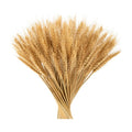MAQIHAN 100 Stems Dried Wheat Stalks - Natural Wheat Straw Decor for Vases