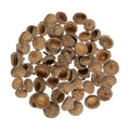 Ciieeo 100 Pcs Natural Acorn Caps - Light Brown Dried Botanical Vase Fillers for Home Decor | Rustic Plant Material for Autumn Wedding Thanksgiving and Christmas Ornaments