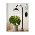 Smart Grow Lights for Indoor Plants,Full Spectrum Desk Plant Light | 10W Plant Lights with Bluetooth App Control
