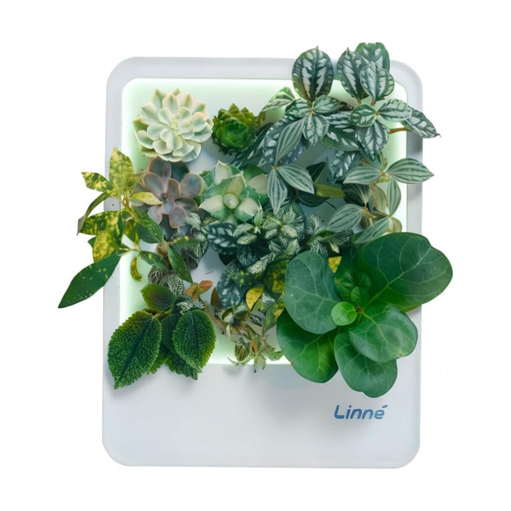 Indoor Garden Hydroponic System with LED Grow Light Indoor herb Garden, Indoor Garden Hydroponic System with LED Grow