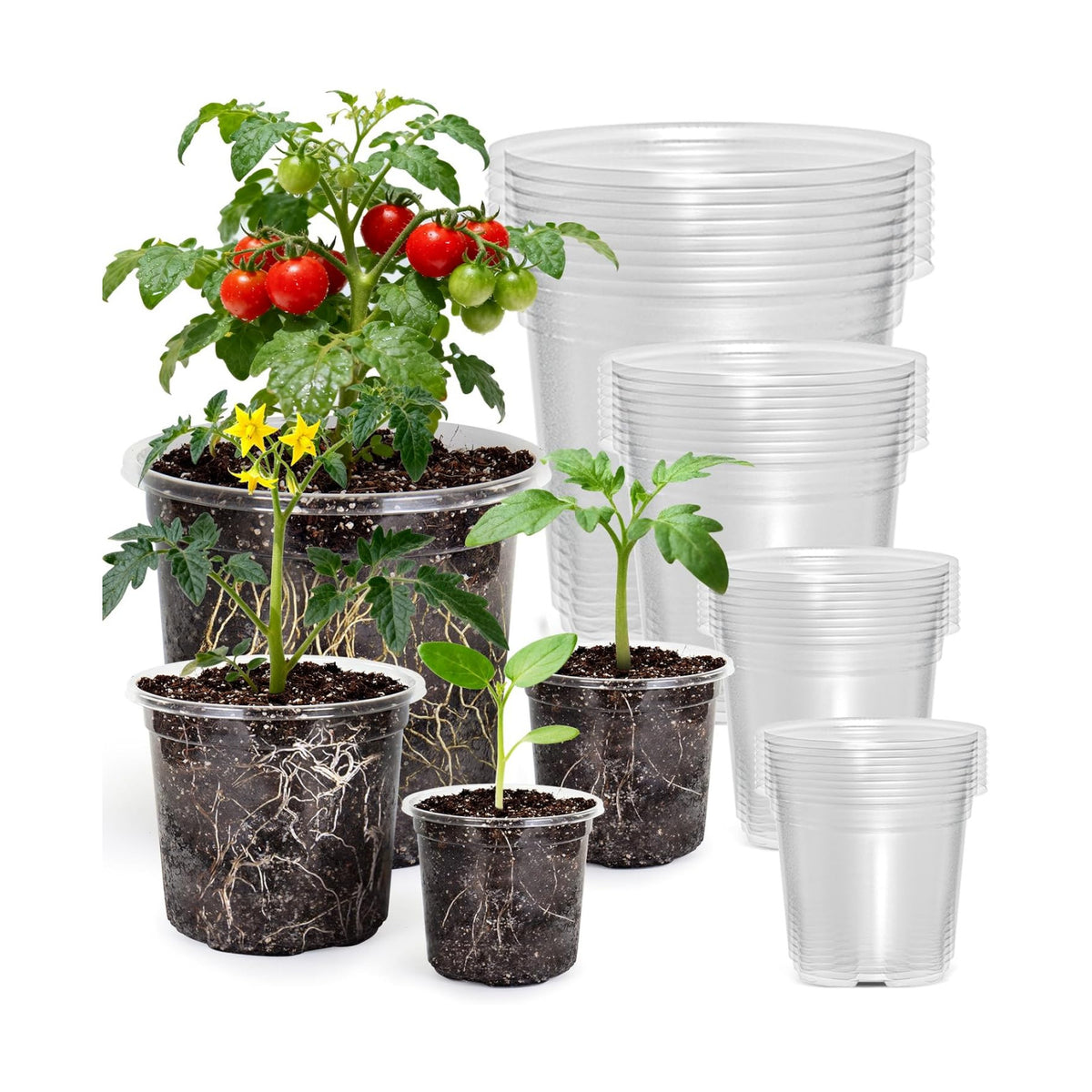 MIXC Clear Nursery Pots with Drainage Holes, 7/5/4/3.5 Inch 36 Pack