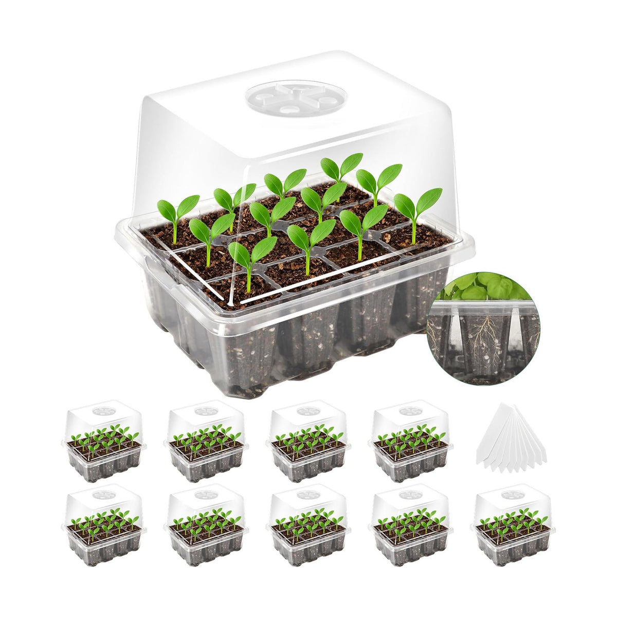 MIXC 10 Pack Seed Starter Tray, 120Cell Stater Kit with Elevated Lid
