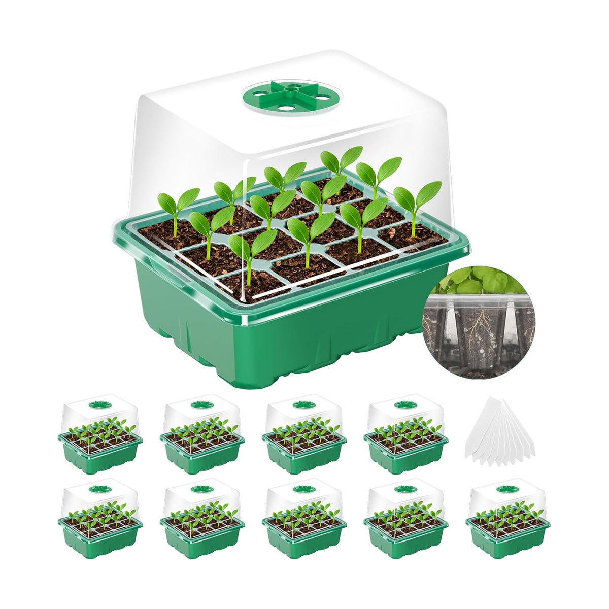 MIXC 10 Pack Seed Starter Tray, 120 Cell Stater Kit with Elevated Lid Green
