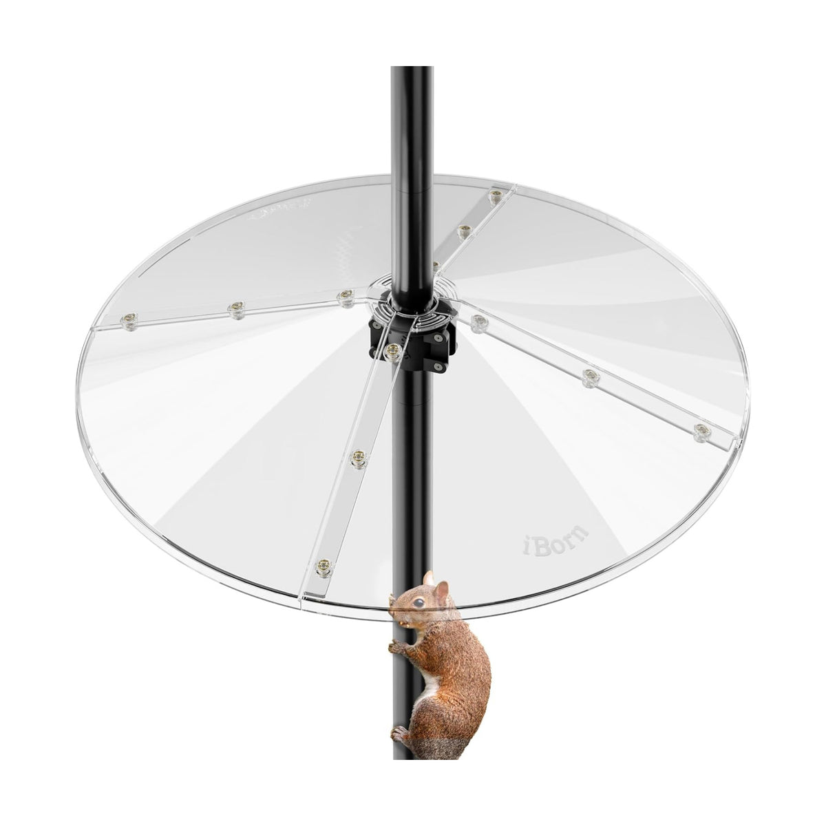 iBorn Squirrel Baffle for Bird Feeder Pole, 19.6” Oversized Squirrel Guard Defender, Bird Feeder for Outdoors Protector, Polycarbonate(PC), Pack of 1, Clear