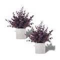 Coferset 2 Pack Small Fake Plants Eucalyptus Potted,Plum