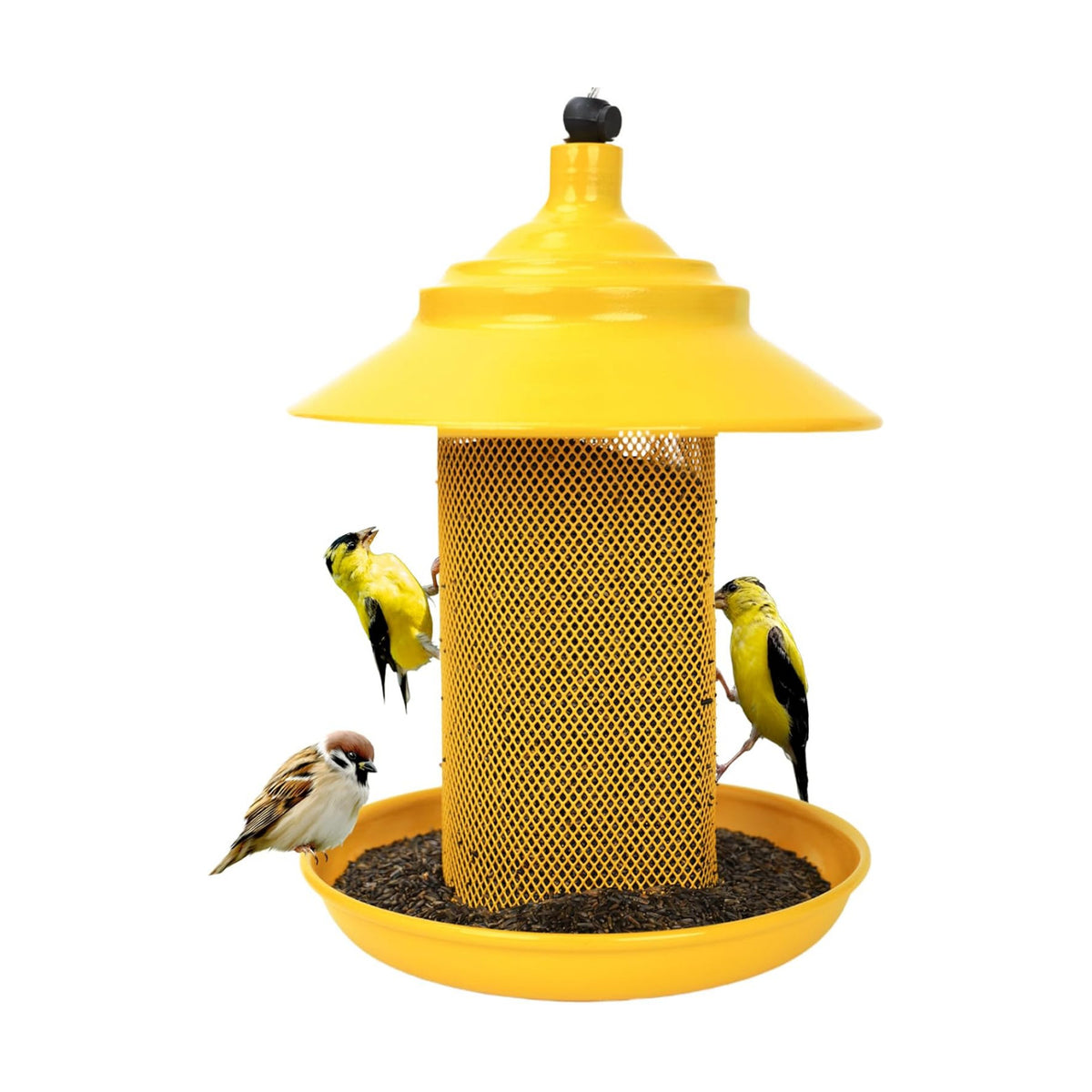 All-Metal Finch Feeder, Squirrel Resistant Nyjer Seed Bird Feeder Yellow