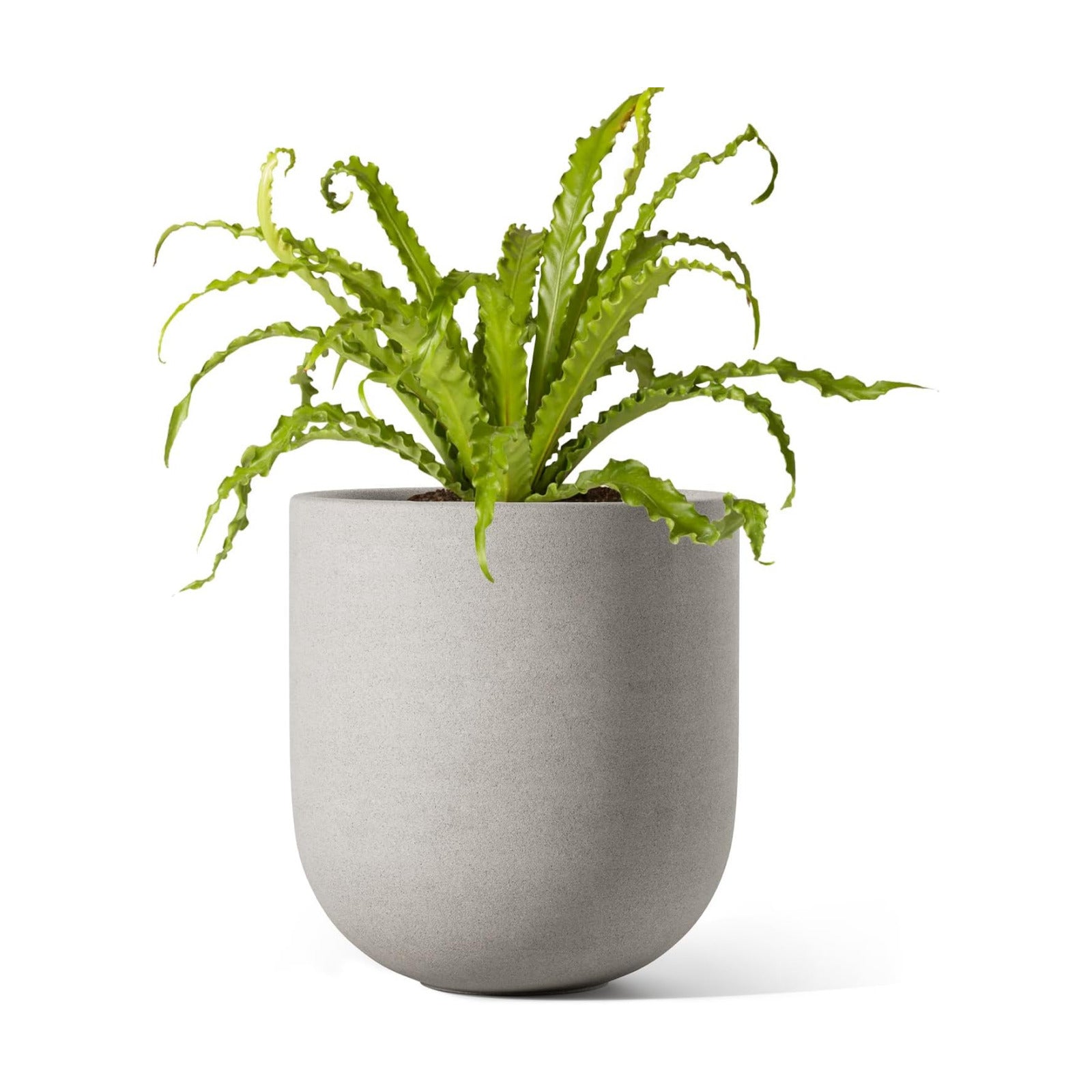 LE TAUCI 6 Inch Plant Pot, Ceramic Planter for Herbs & Small Houseplants, Tabletop Indoor Pot for Shelf, Desk and