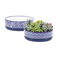 Selamica Ceramic Succulent Pots, Shallow Succulent Planters with Drainage Hole & Saucer, Indoor Plant Pots for Cactus