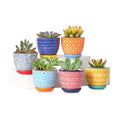 Selamica Ceramic 2.4 Inch Succulent Pots, Mini Flower Pots for Cactus Plant with Drainage Holes & Saucers, Home Decor
