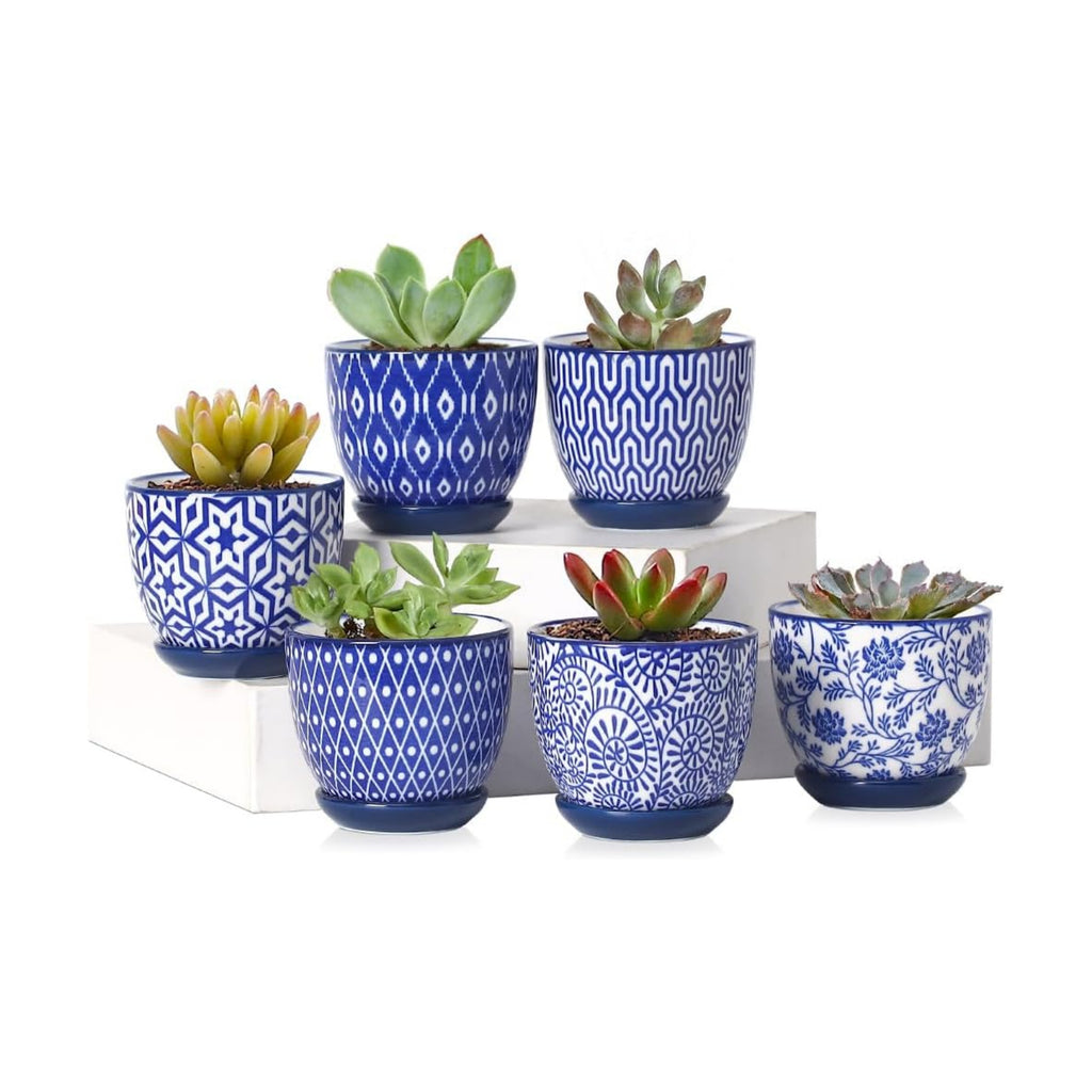 Selamica Ceramic 2.4 Inch Succulent Pots, Mini Succulent Planter Pot for Cactus Plant with Drainage Holes & Saucers