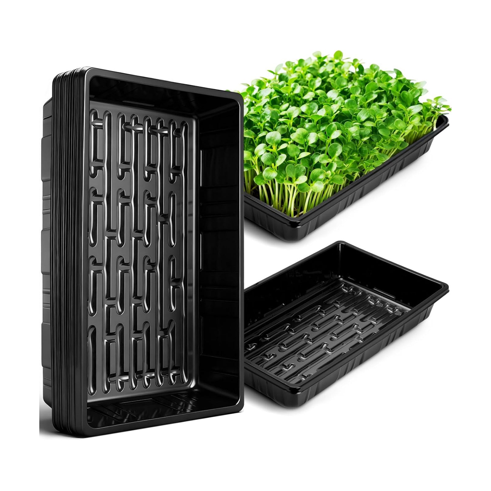 Sckee Upgraded 10 Pack Plant Growing Trays Seed Starting Tray Microgreens Growing Trays Seedling Plant Germination