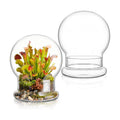 2 Pack Round Glass Cloche Domes with Air Hole and Base, 4.6 X 6.6 Inches Clear Terrarium Planter, Cloche Planters