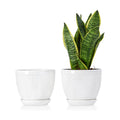 Sureasy 6.5 Inch Ceramic Plant Pots, Embossed Decorative Planters with Drainage Hole and Saucer, Modern Flower Pots for