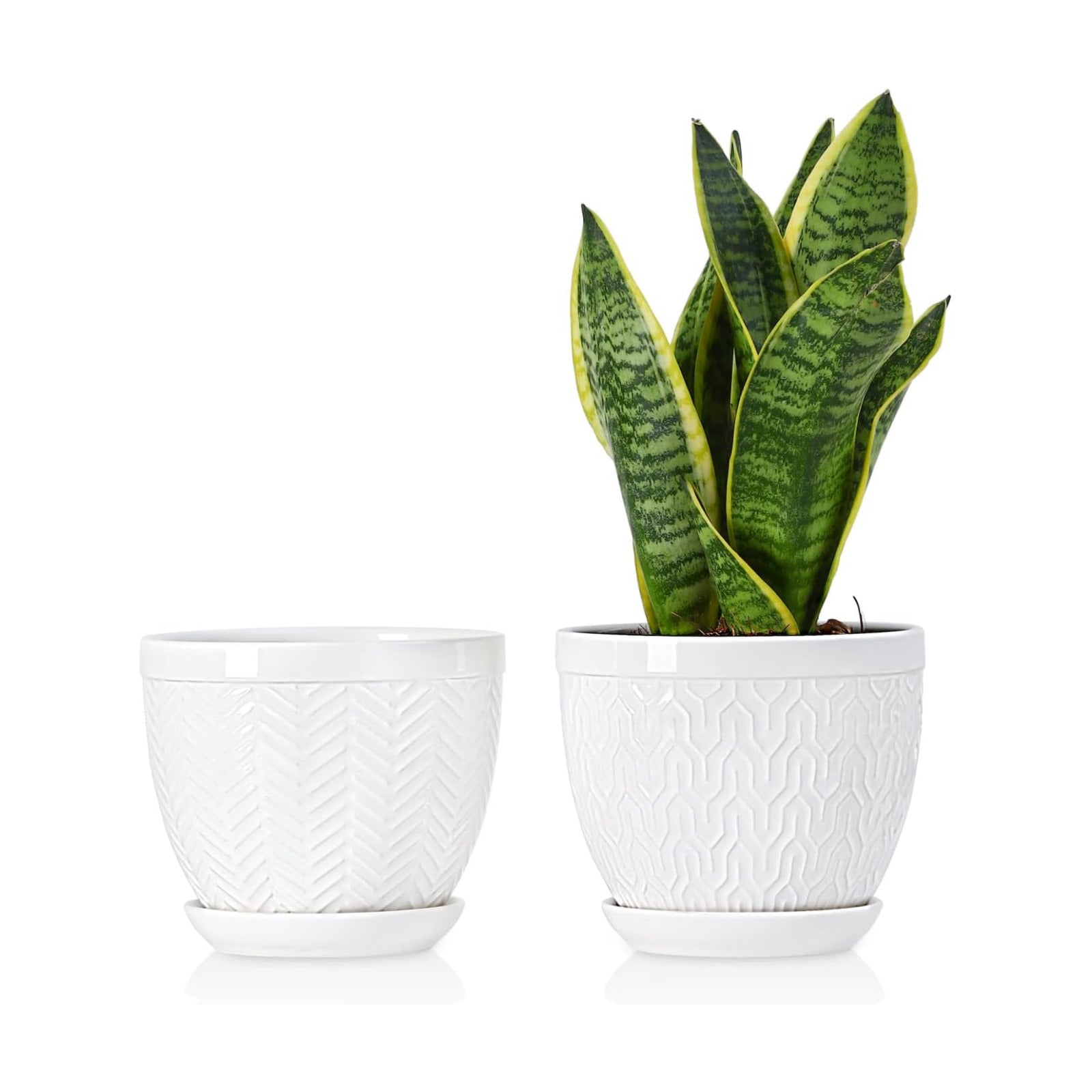 Sureasy 6.5 Inch Ceramic Plant Pots, Embossed Decorative Planters with Drainage Hole and Saucer, Modern Flower Pots for