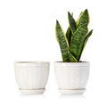 Sureasy 6.5 Inch Ceramic Plant Pots, Embossed Decorative Planters with Drainage Hole and Saucer, Modern Flower Pots for