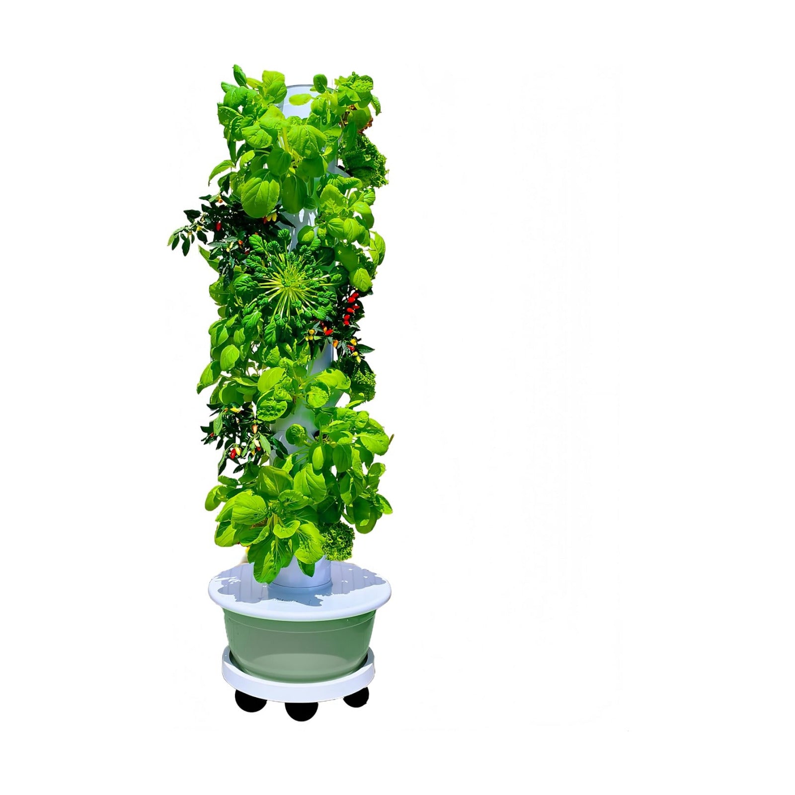 Hydroponic Growing System, Vertical Garden Tower Automatic Timer 36 -Pod | Automatic Watering System with Timer Indoor