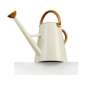 Metal Watering Can with Removable Spout, 1.5 Gallon Large Watering Cans for Plants, Galvanized Steel Gardening Water