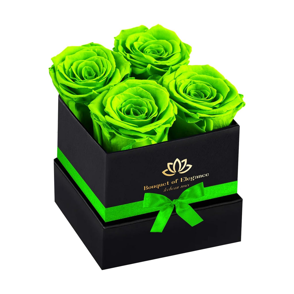 Green Forever Flowers Roses in A Box,Real Preserved Flowers,Preserved Roses,Forever Flower Gifts for Women/Men/Mom,Flowers for Valentine's Mothers Day