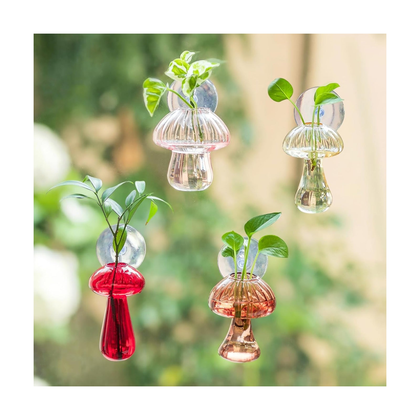 Glasseam Window Plant Propagation Station: 4Pcs Glass Hanging Mushroom Vase | With Suction Cup, Colorful, Cute