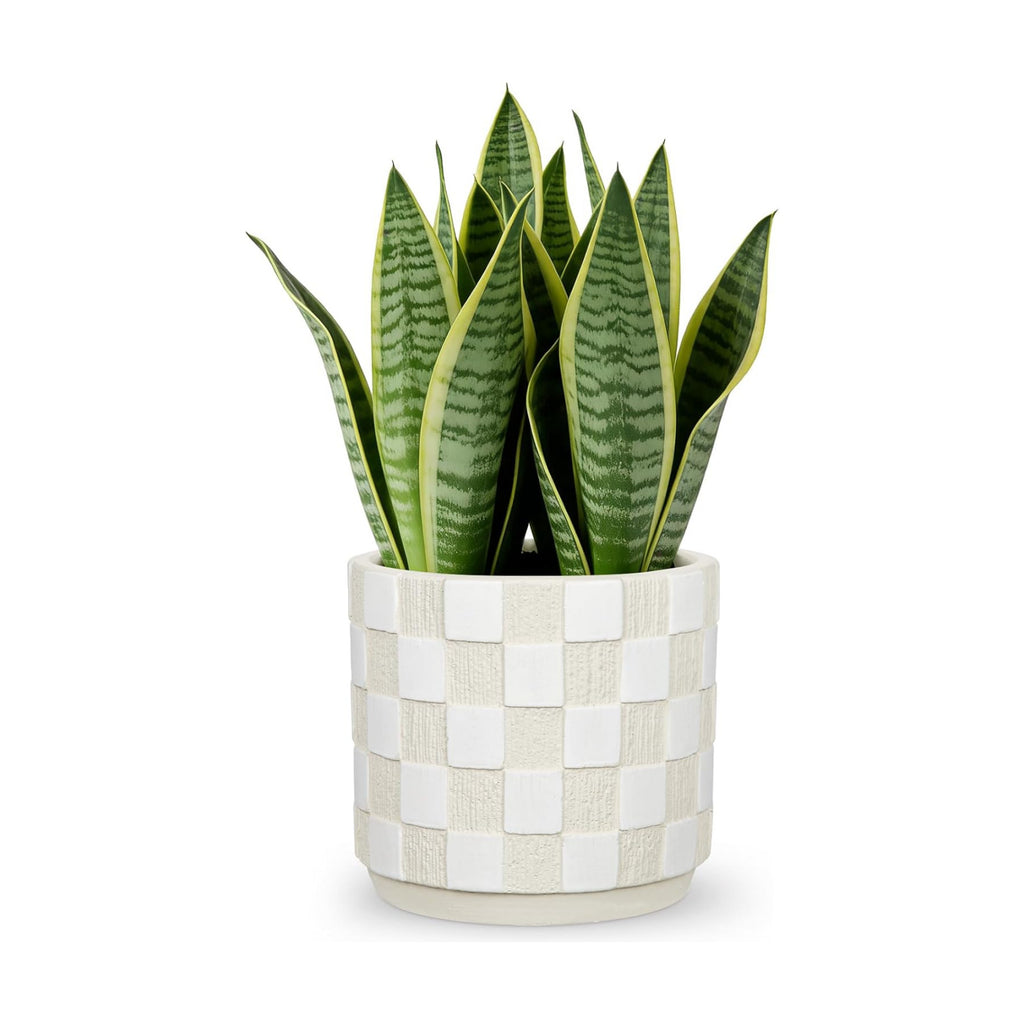 5.5 inch Ceramic Plant Pots with Drainage Hole & Silicone Plug, Checker Ceramic Round Planter Flower Planter for Indoor