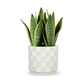 5.5 inch Ceramic Plant Pots with Drainage Hole & Silicone Plug, Checker Ceramic Round Planter Flower Planter for Indoor
