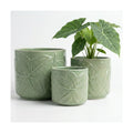 Ceramic Pots for Plants Set of 3, 6, 5, 4 Inch Diameter with Drainage Holes | Thick Durable Ceramic Pots, Plant Pots