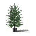 3FT Artificial Norfolk Pine Tree, 1pc Faux Potted Plants